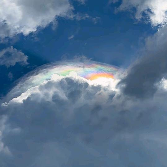 重生之我在上海跑滴滴