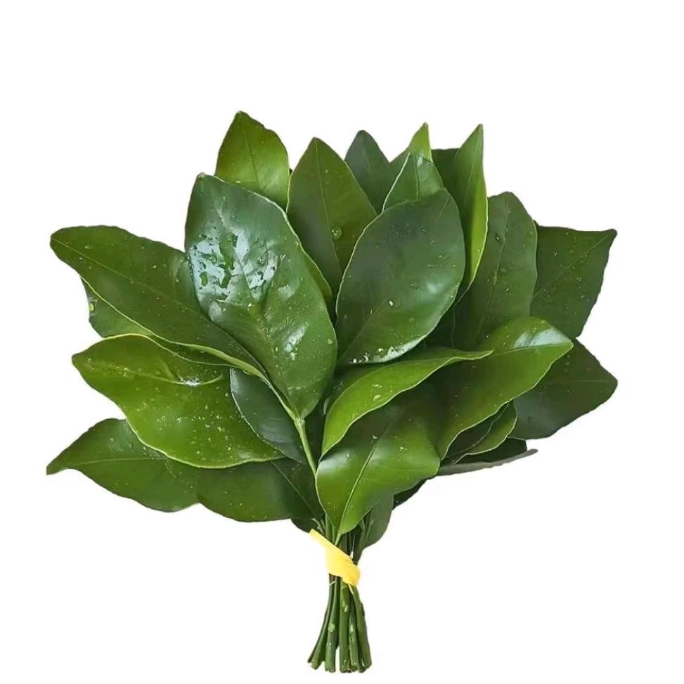 解开郁闷心