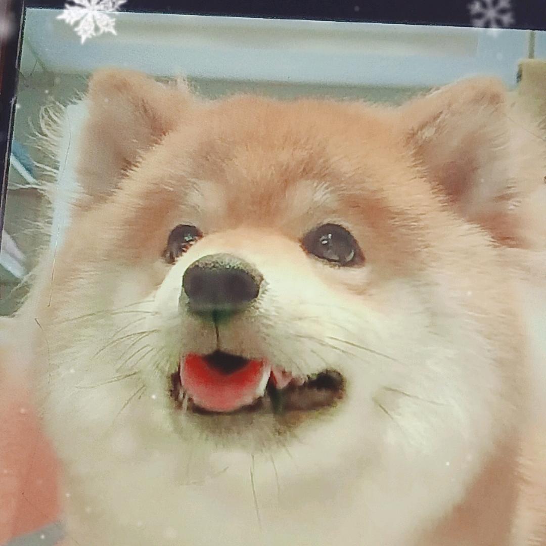 心雨百货