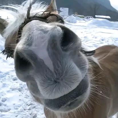 凌晨三点从六舅床上爬起猛吃亡夫贡品