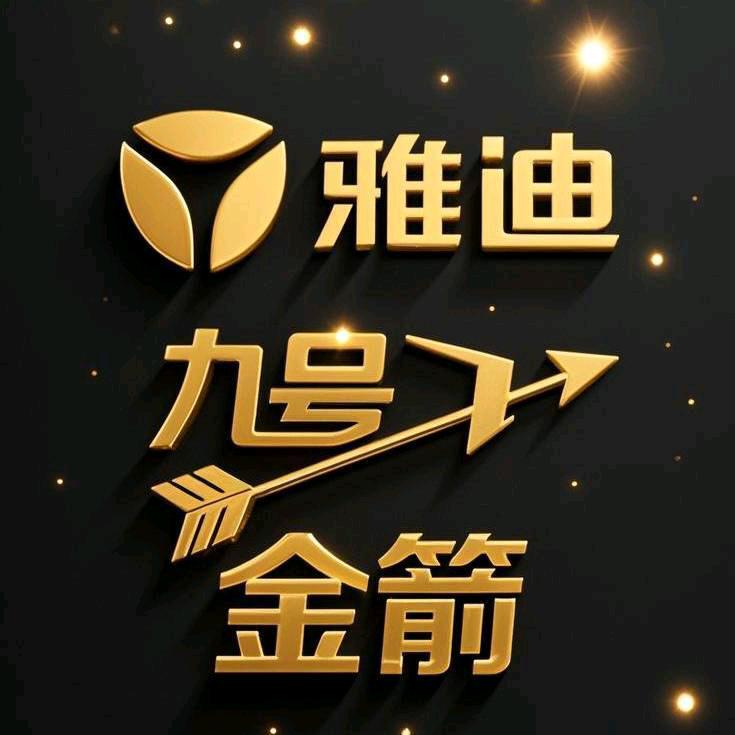 中山市九号！雅迪！金箭！