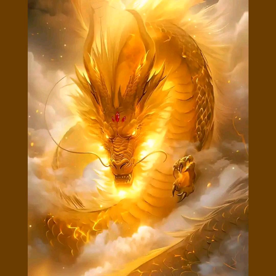 葫芦岛市天成汽车装饰