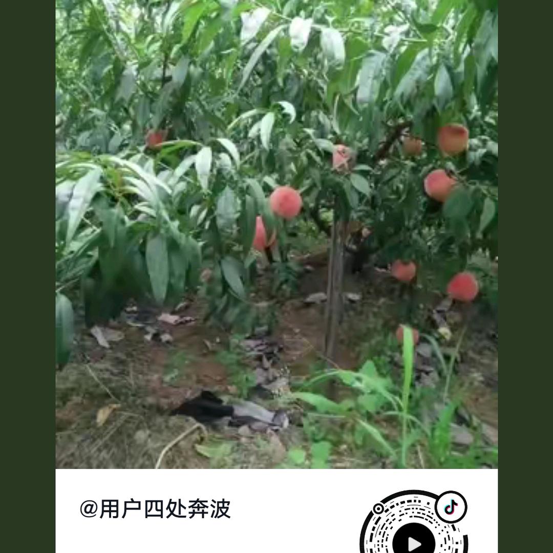 一步一个脚印