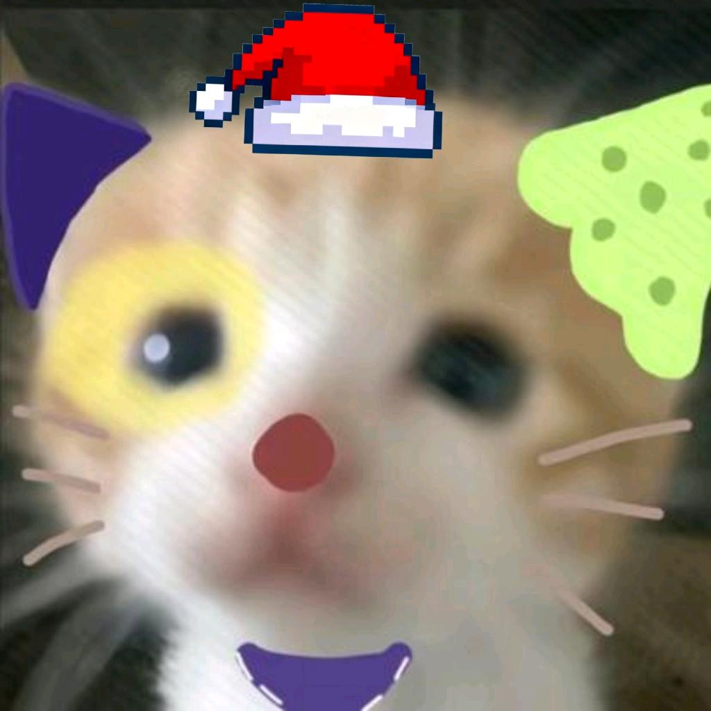 死在江南烟雨中