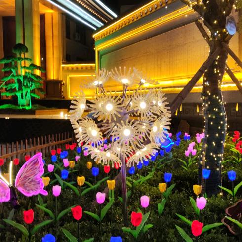 弥勒综合杂技艺术团