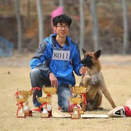 杨黎霞训犬