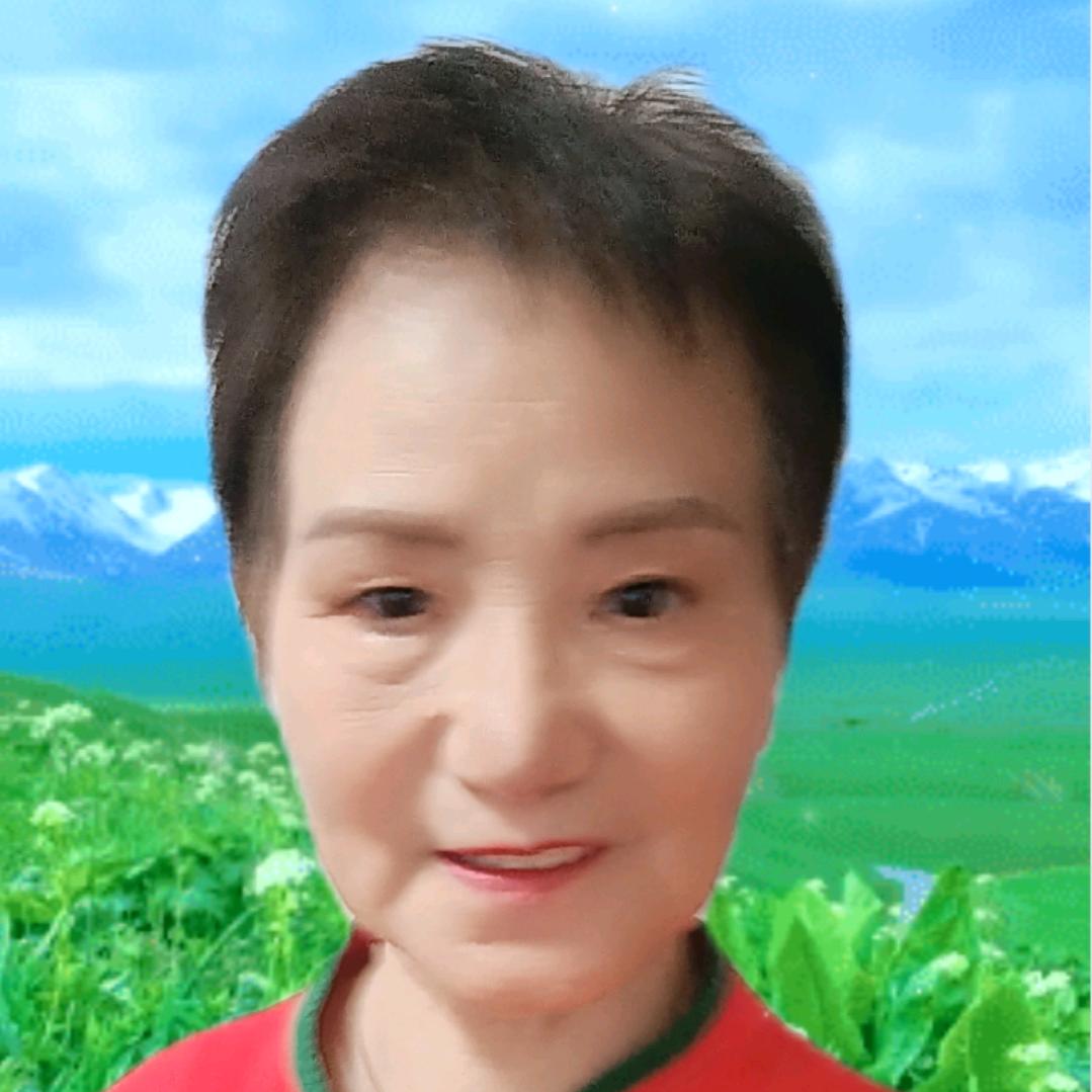 诗琴