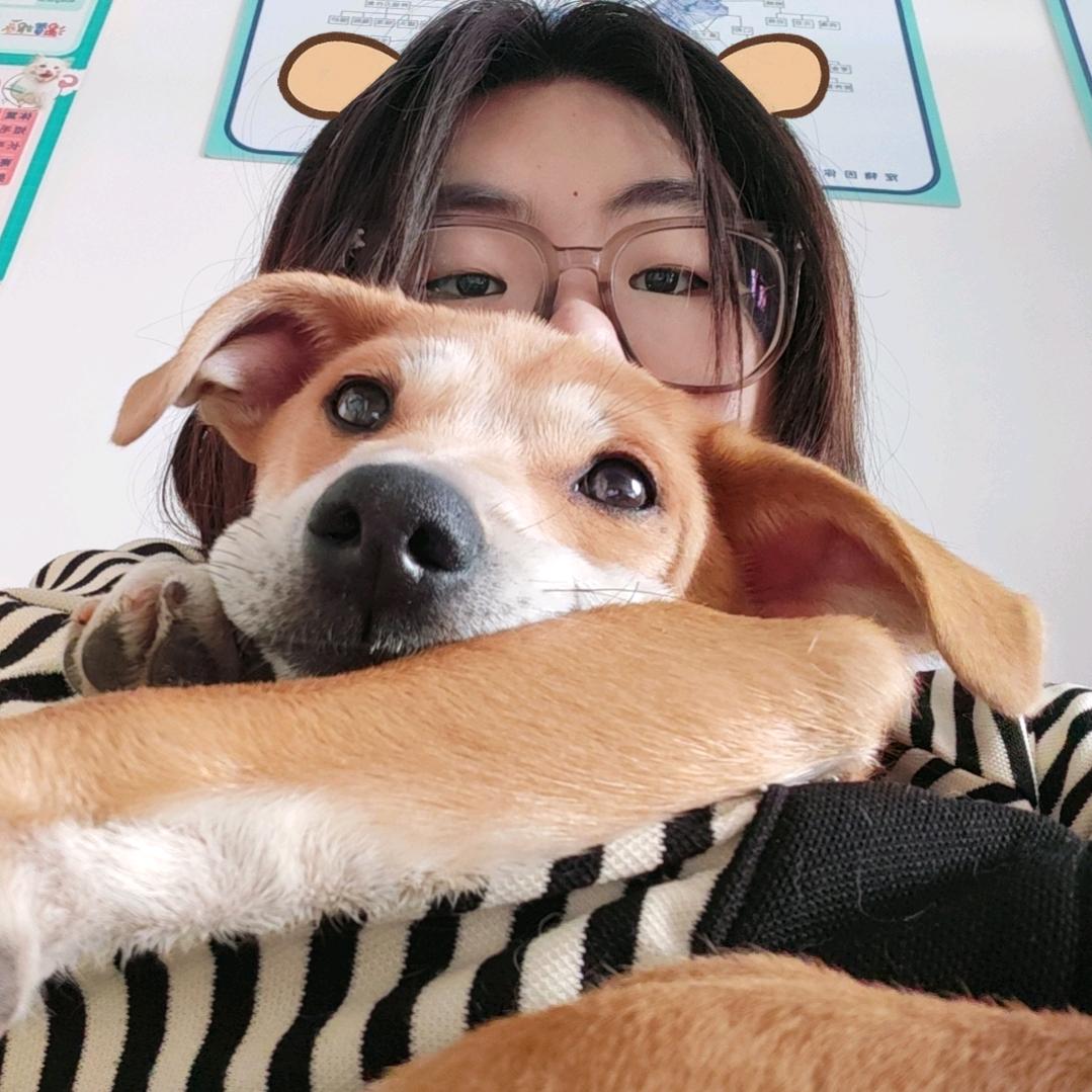 旺旺小李包🐾