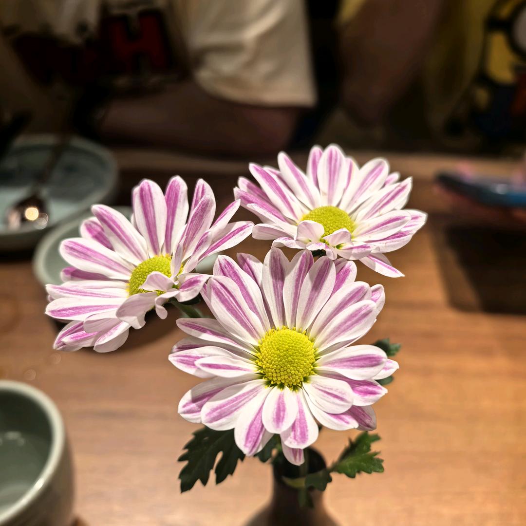 Lucky   .