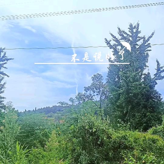 随心