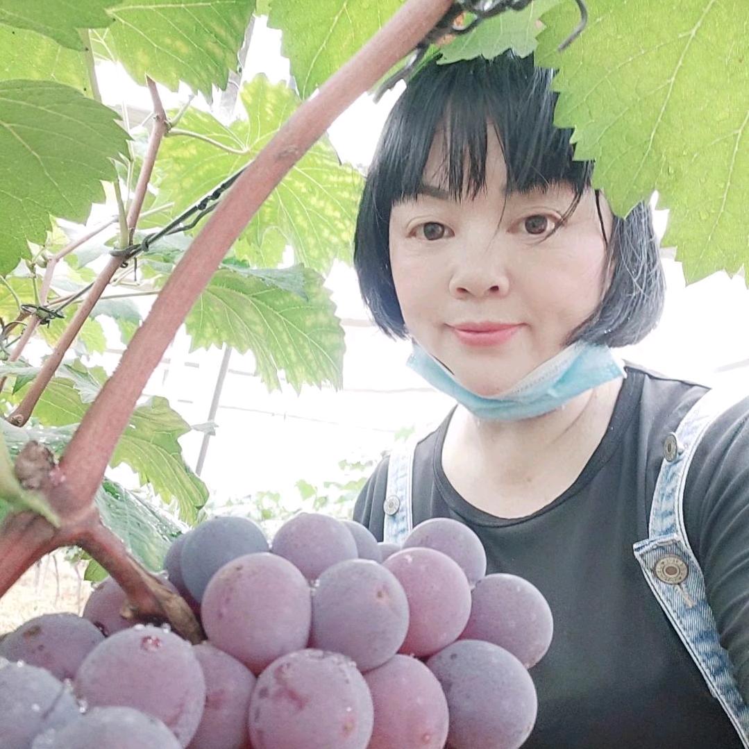 可馨