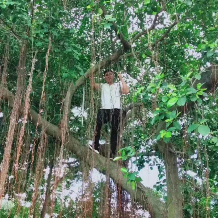 小峰装修