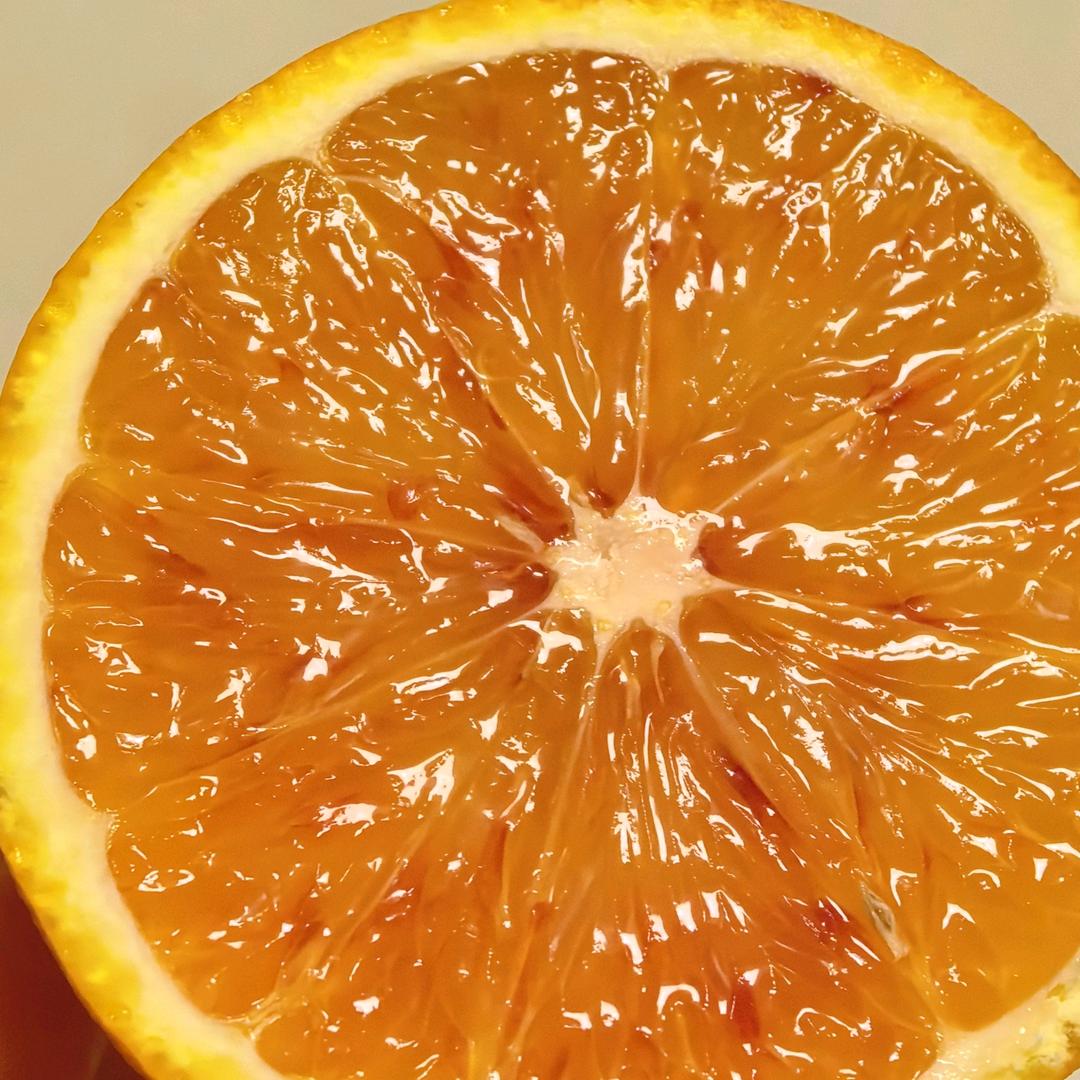 溆浦县蓬富种养专业合作社