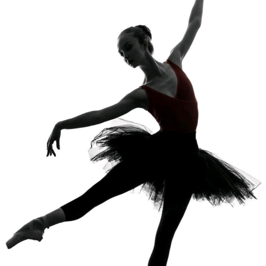 🌸杨杨子（拒私聊）