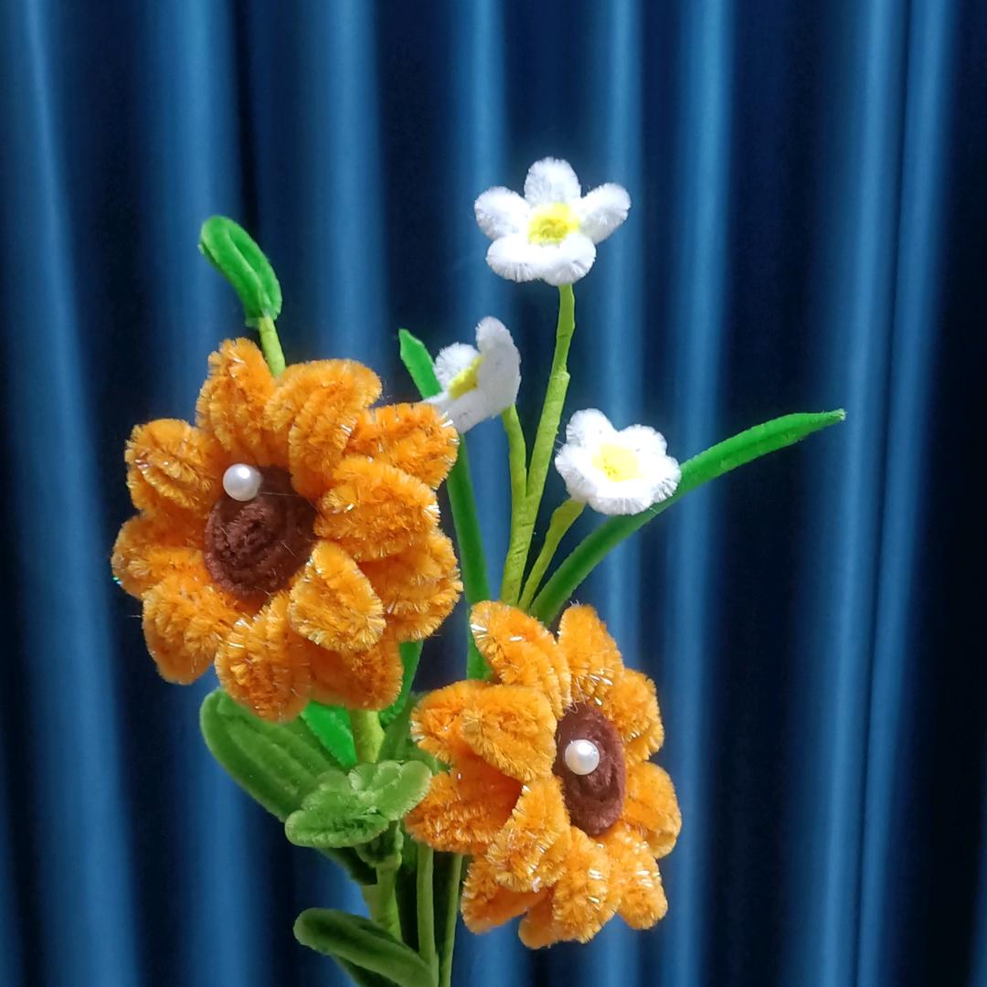 V零🌺