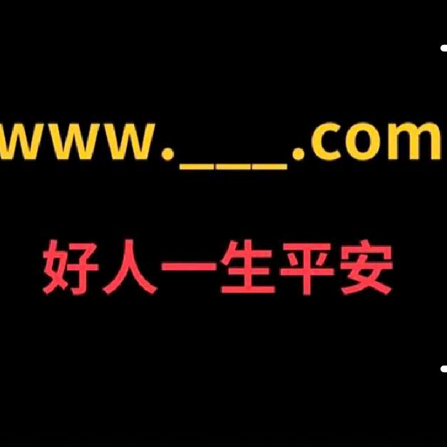 三十三两白银