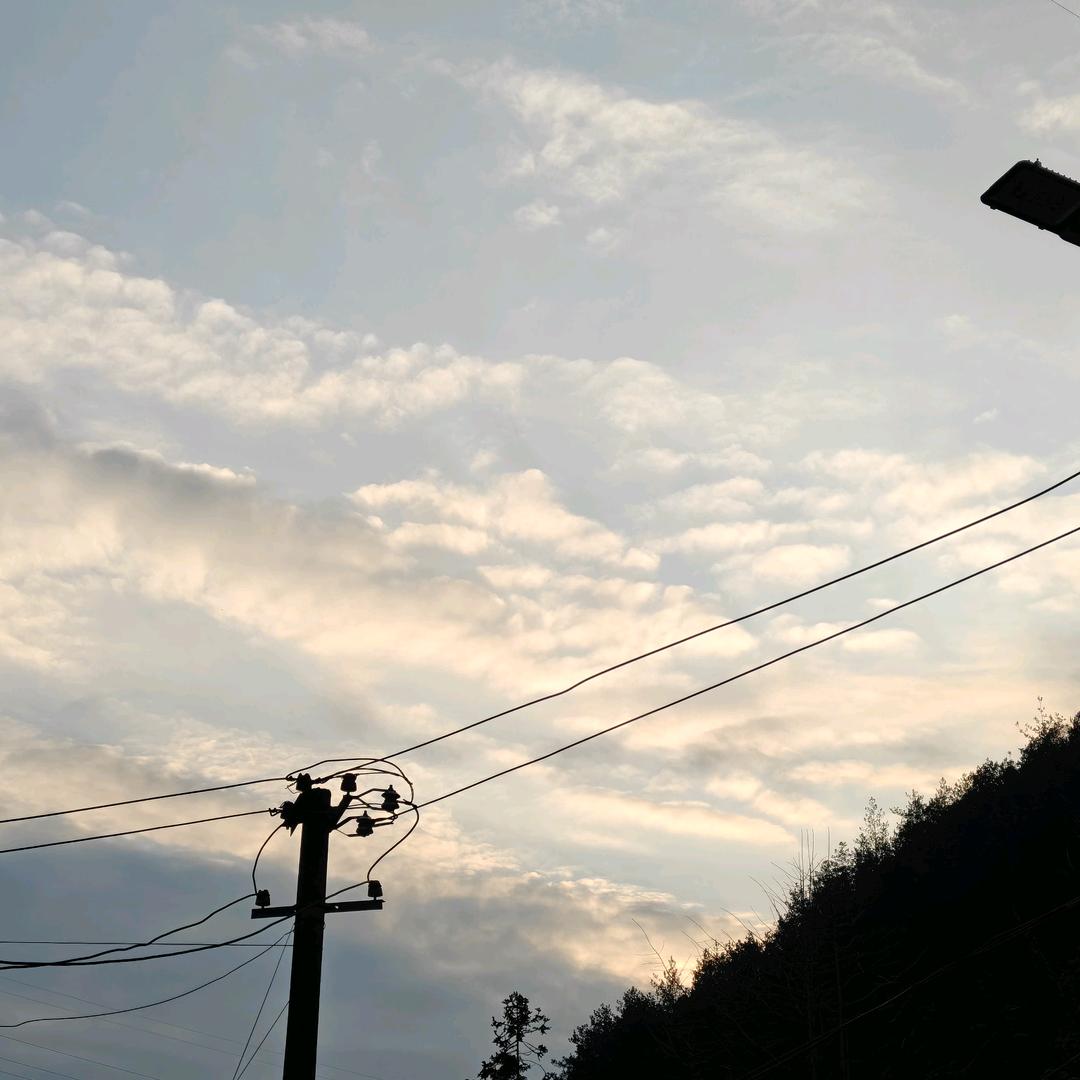 不想工作的白芷