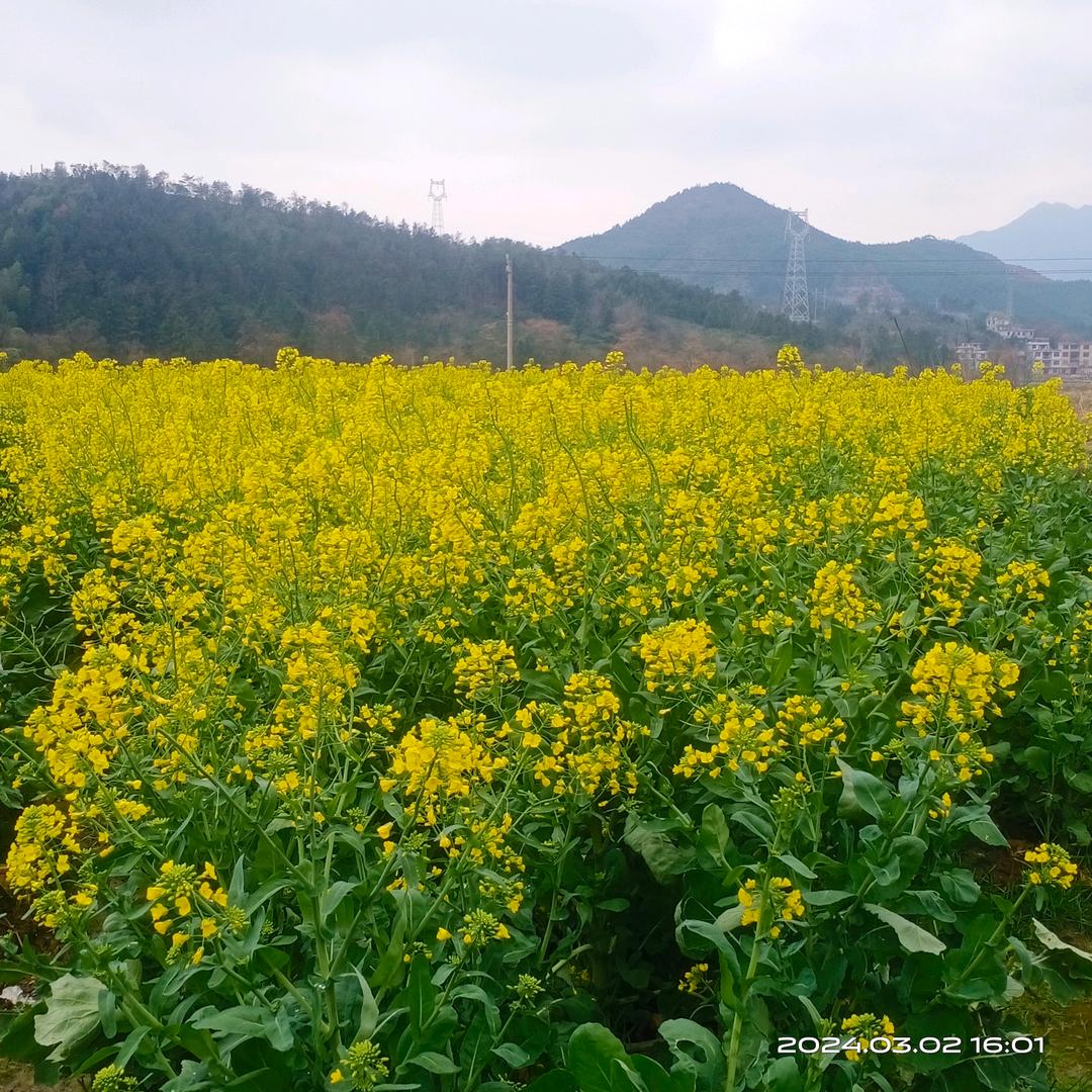 余生好好爱自己