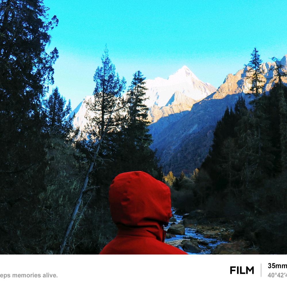 起不来的小杜🐳