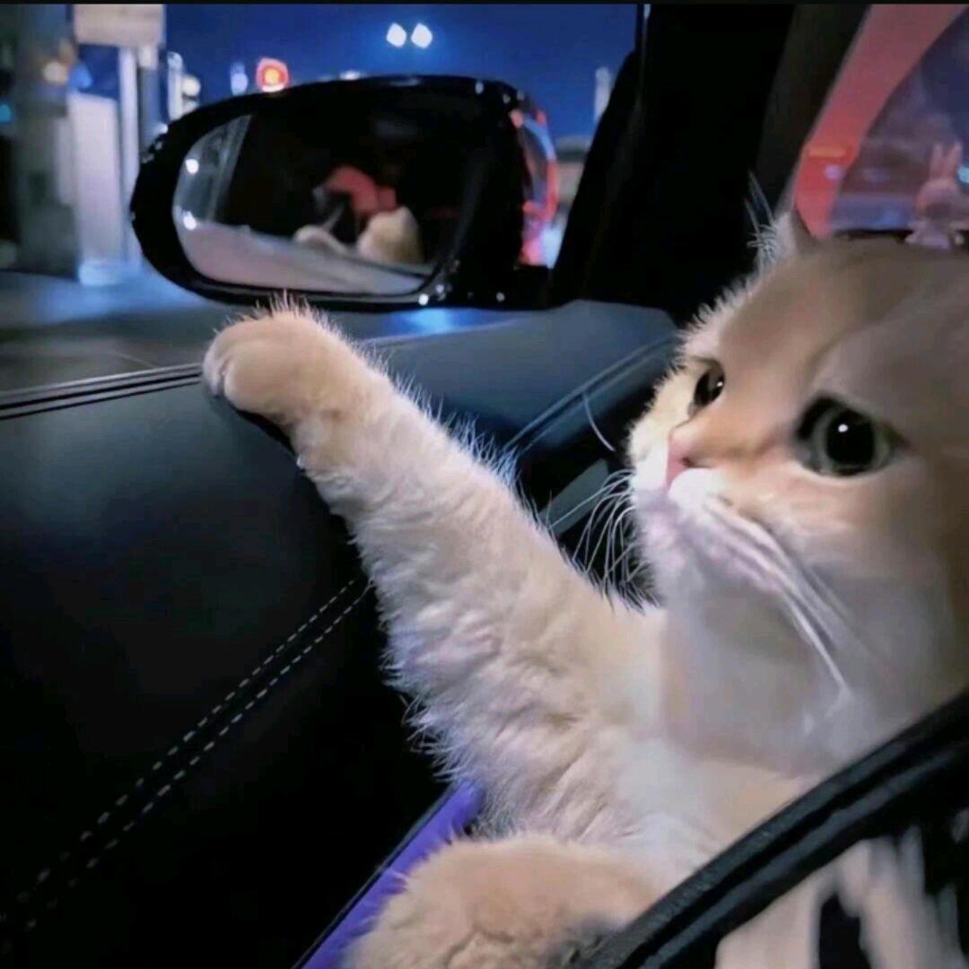 元知（三角洲行动）