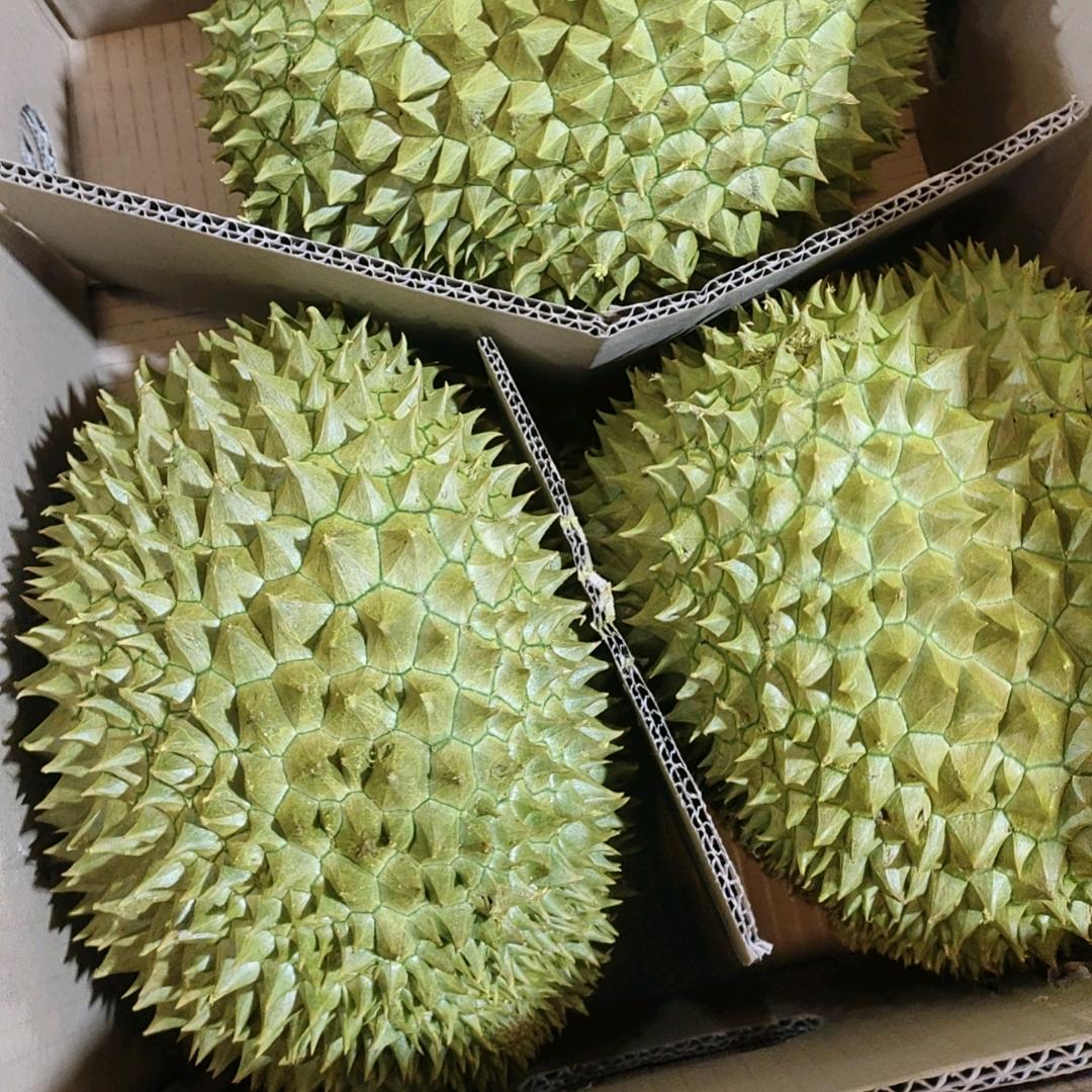 越南榴莲工厂强哥生活