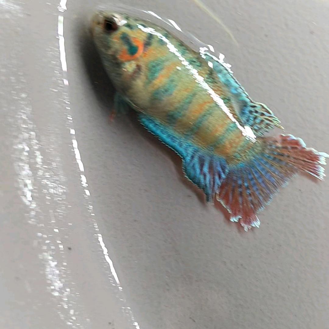 小小时间