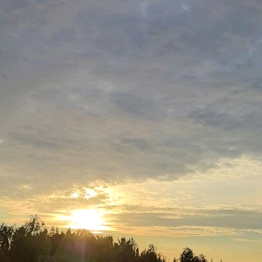 ☀️寻香逐梦