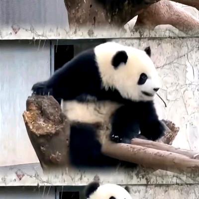 幸运天空