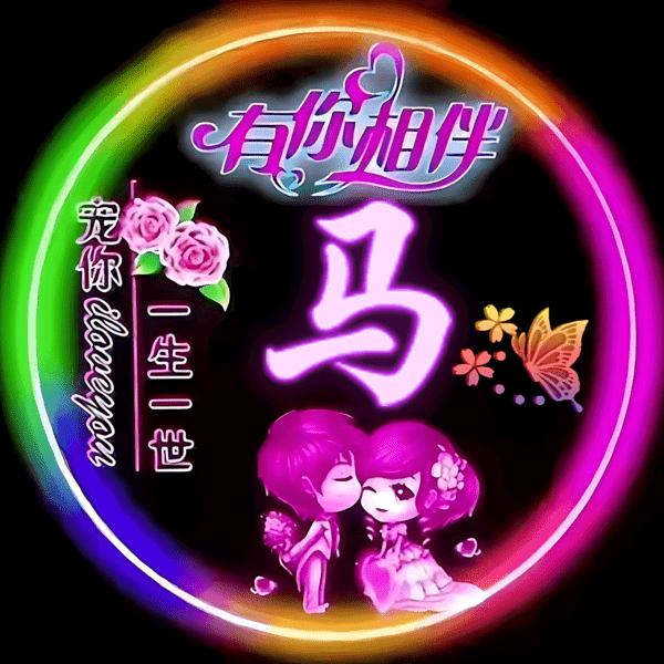 龙哥传奇之