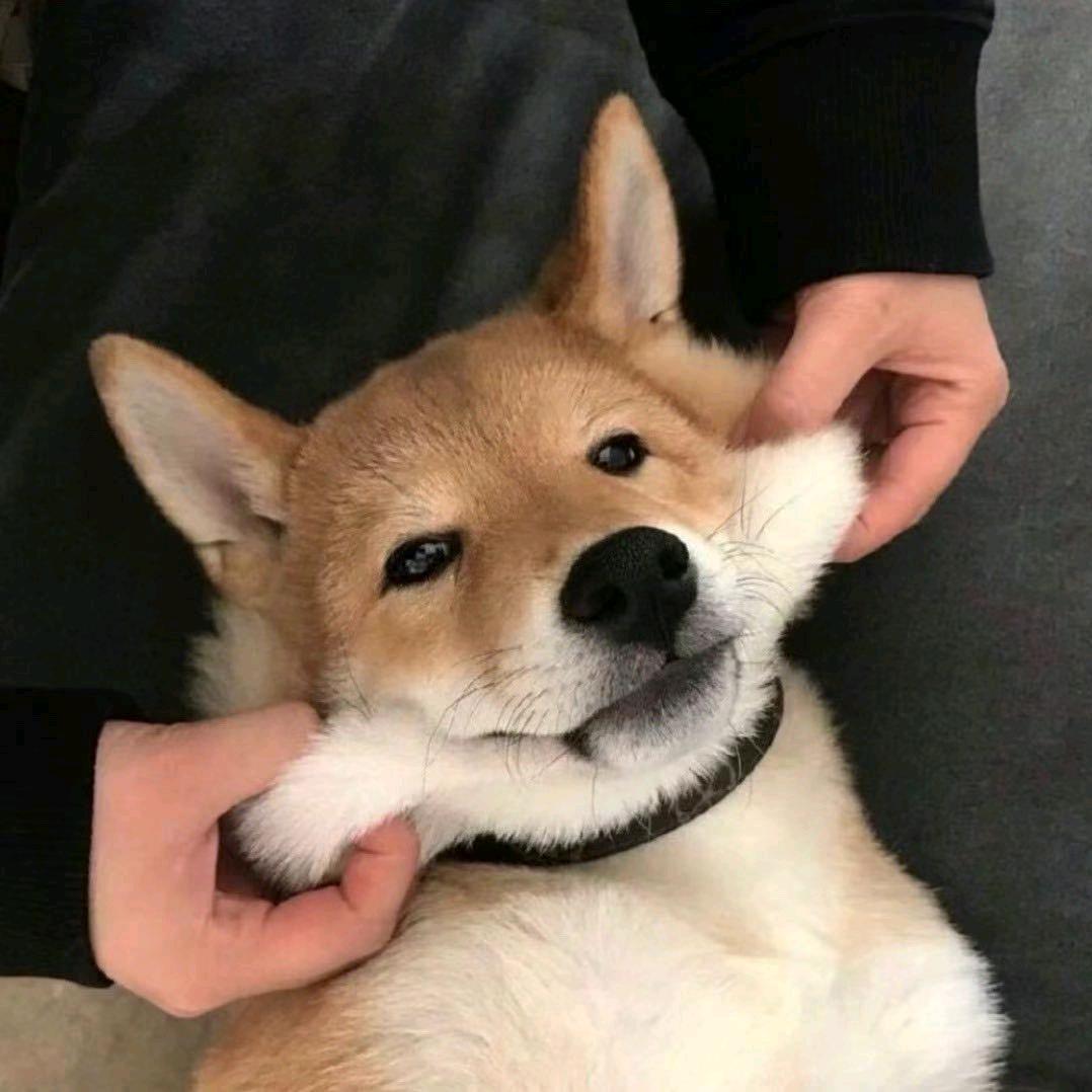 Dddddou