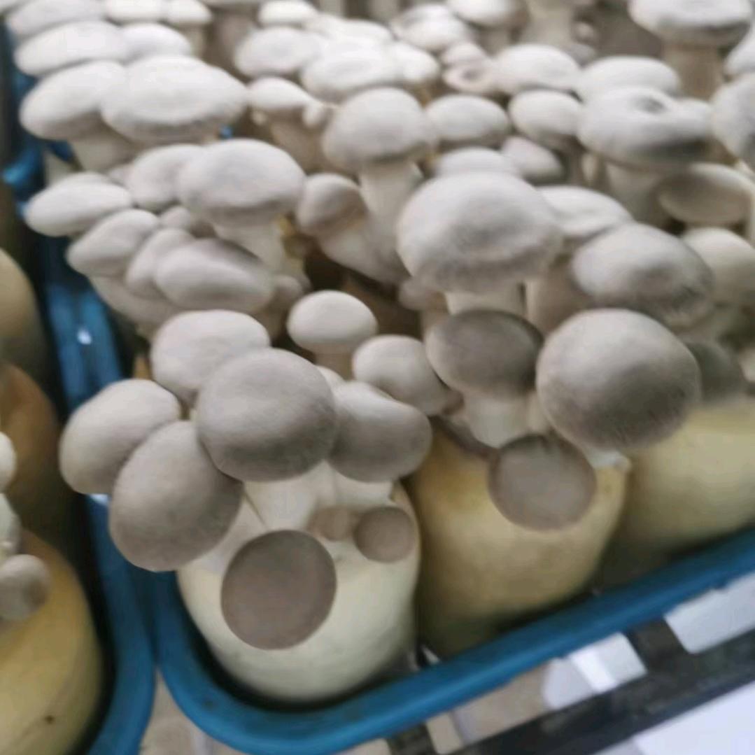 开心过好每一天