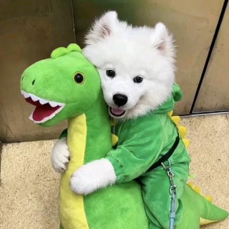 1204
