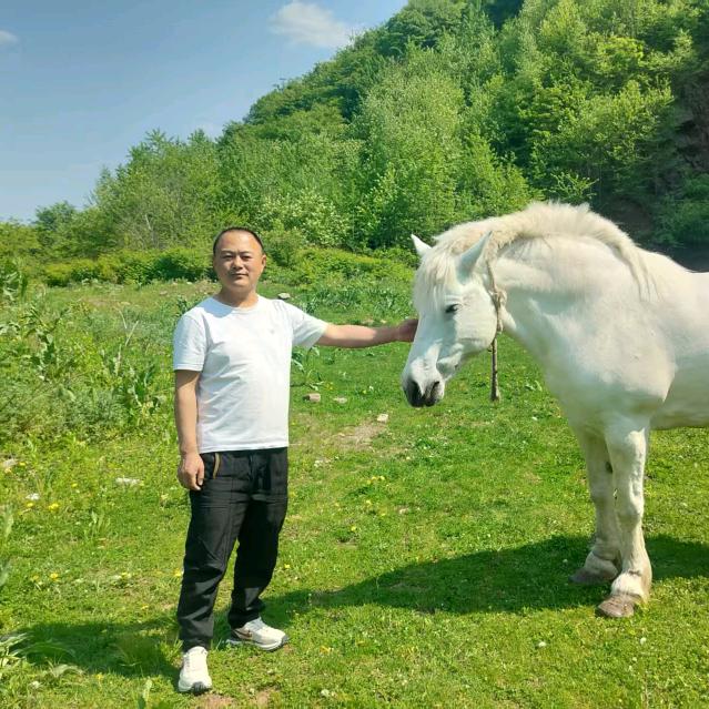 明天会更好