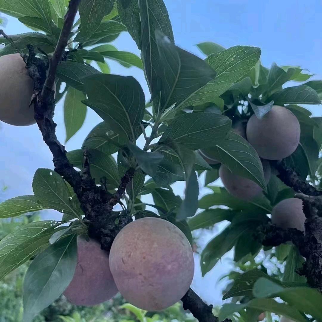 永远不要忘记