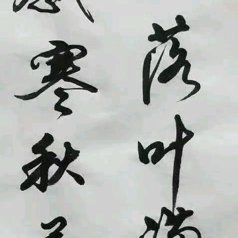 九九草莓🍓温室大棚