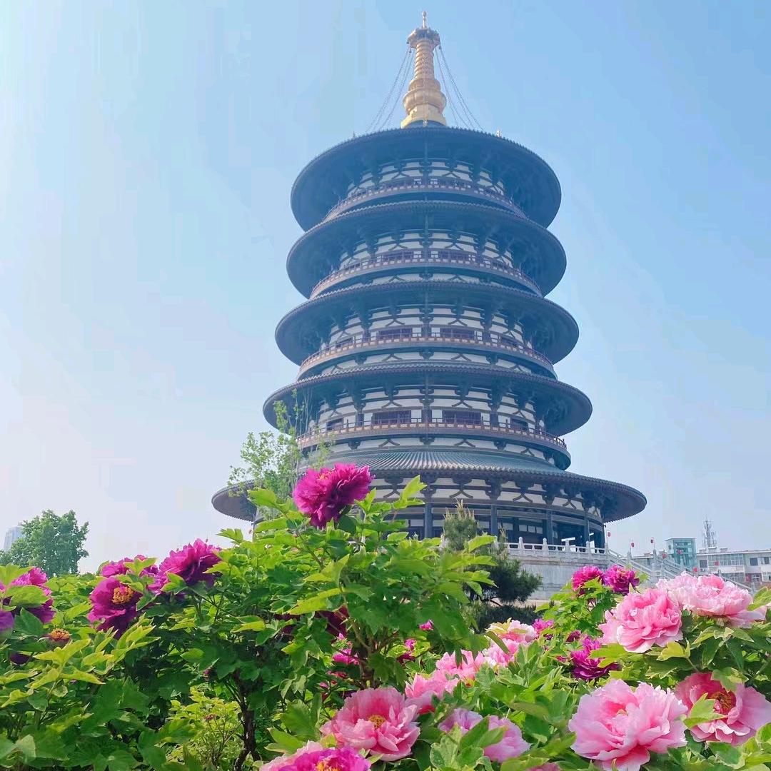 沙漠客里的阿凡提