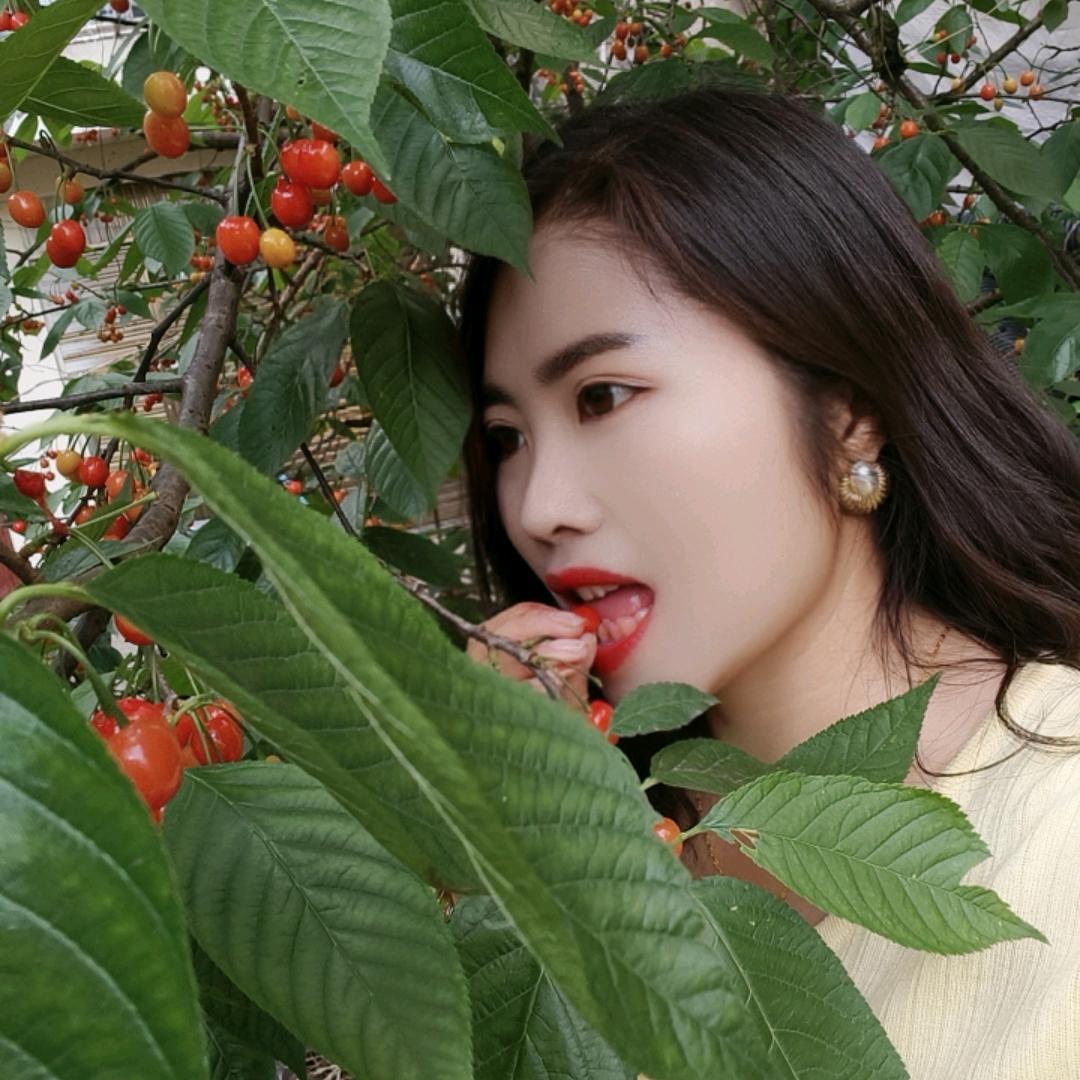 满山绿悠悠