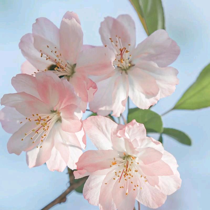 开心快乐每一天