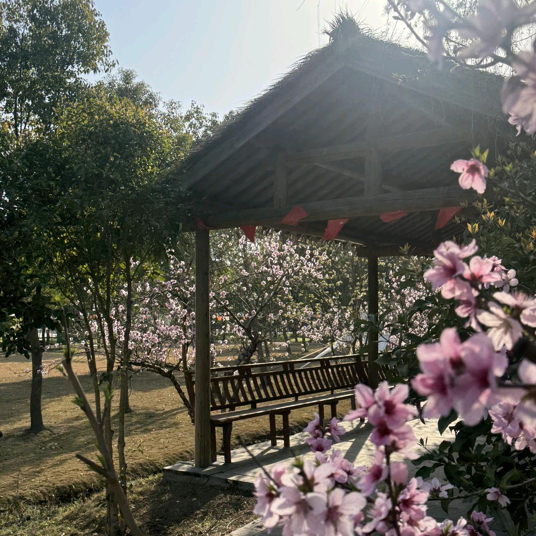 勇龙国际生态园-周老师