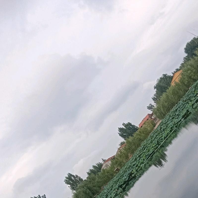 烦人