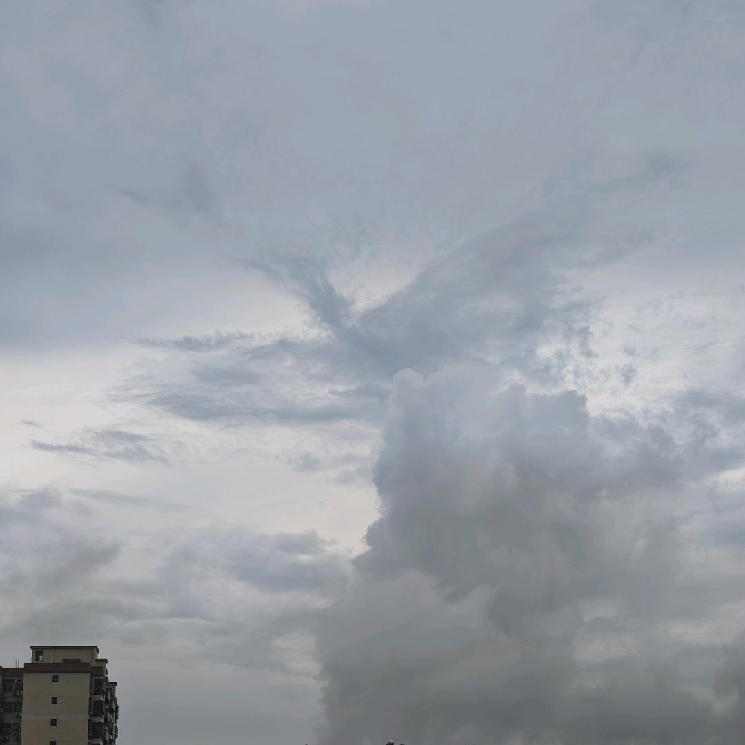 回首向来萧瑟处