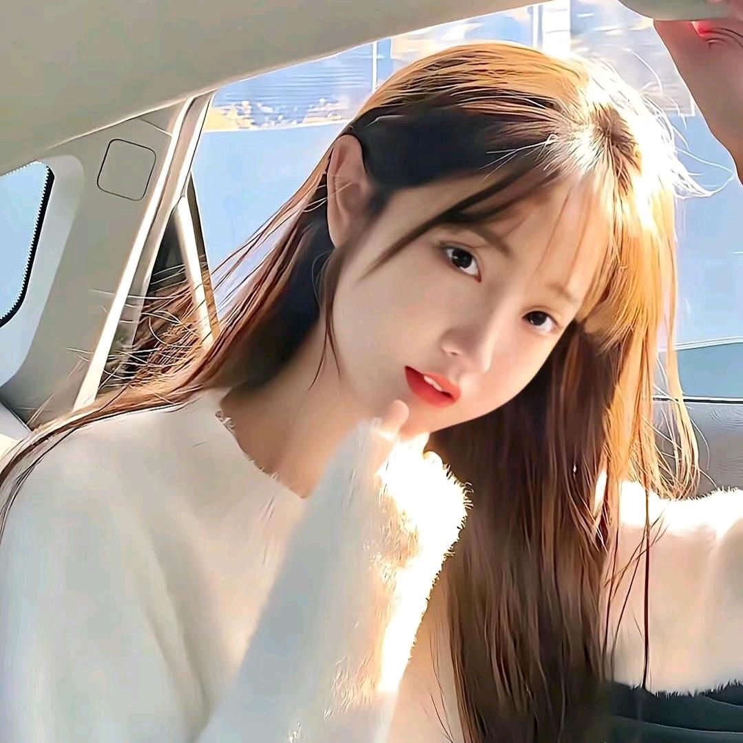 进宝宠物用品店