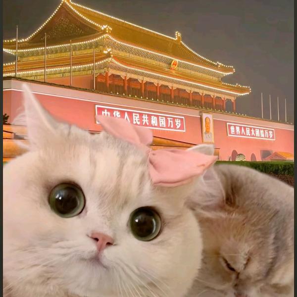 金牌🥇气人选手😙