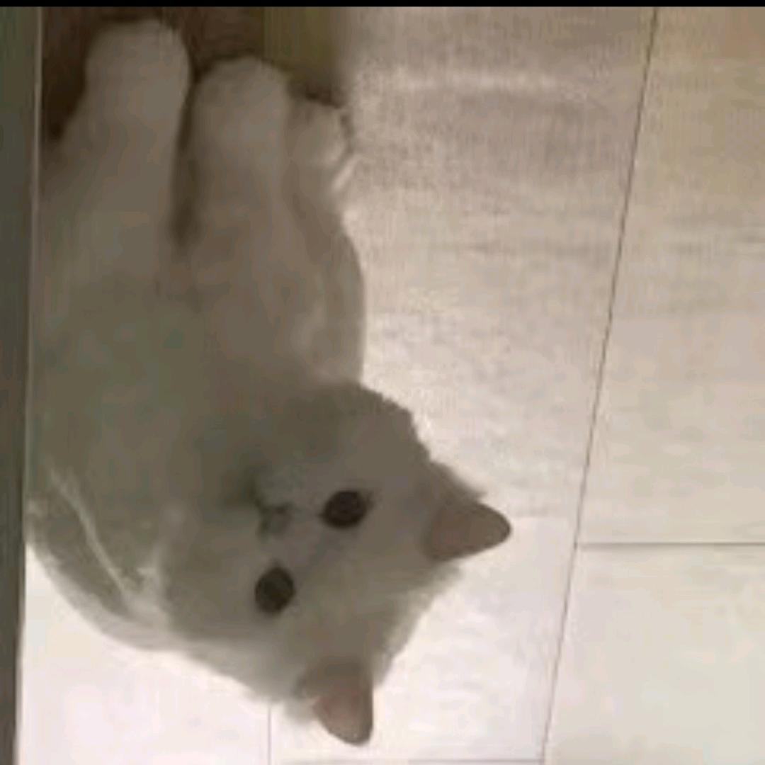 到点了