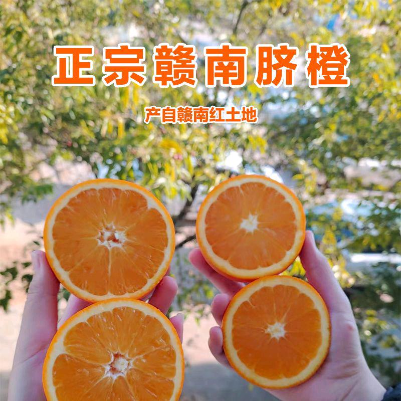 🍷.王者华（赣南脐橙助农）