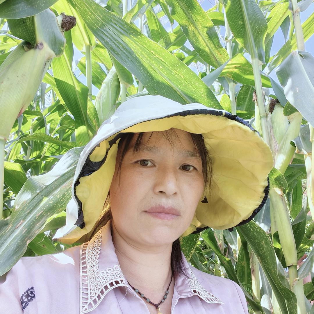 平平安安过好每一天