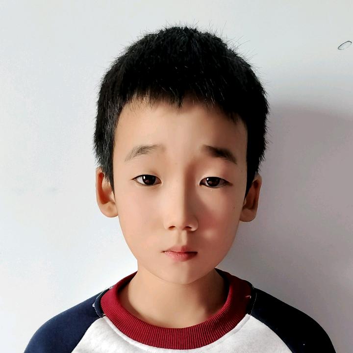 武术瑞阳