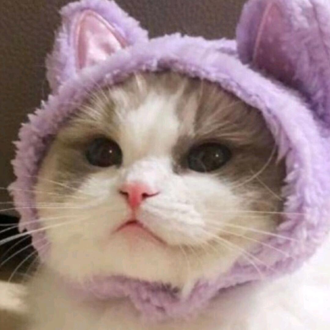 Xxxxx.