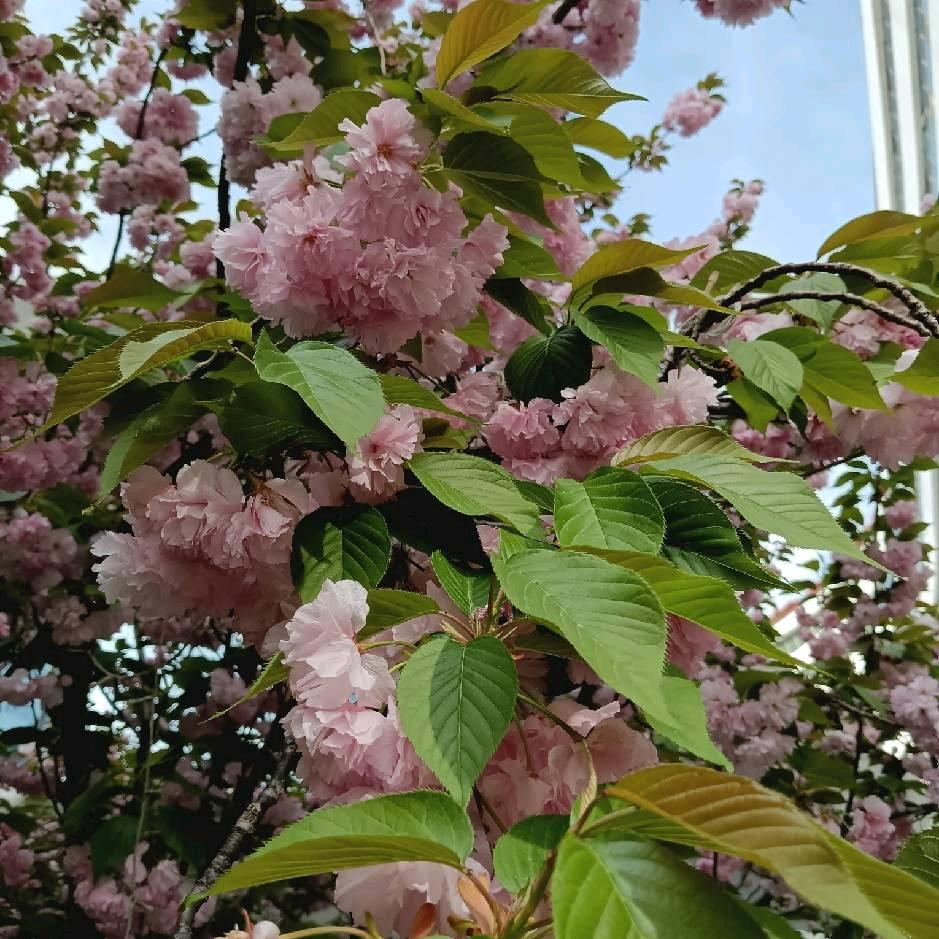 珍惜当下的每一天