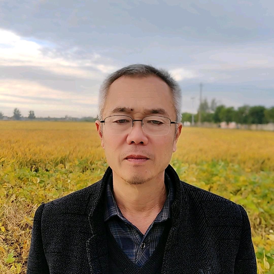 春风十里
